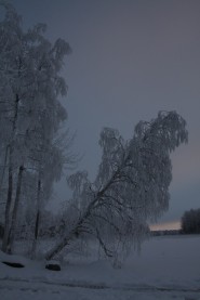 Дом №1 на полуострове Vipuniemi 